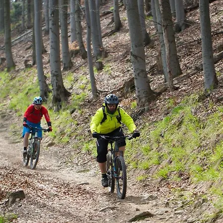 アパート Szyndzielnia ビエルスコ・ビアバ