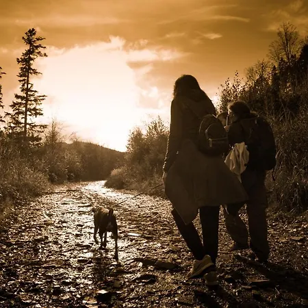 아파트 Szyndzielnia 비엘스코-비아와