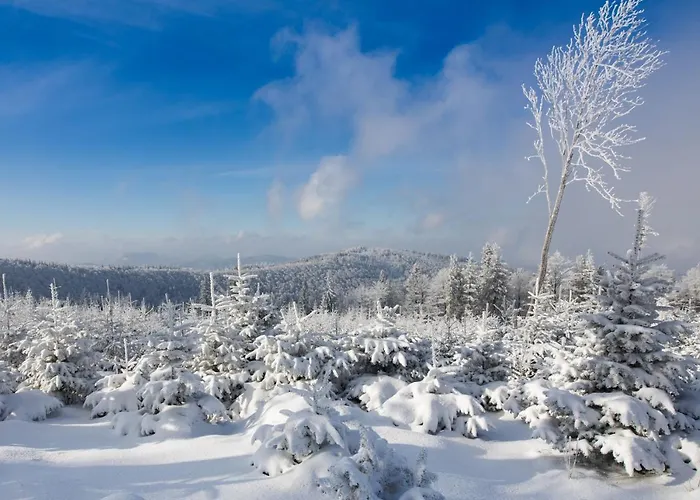 Szyndzielnia 아파트 비엘스코-비아와