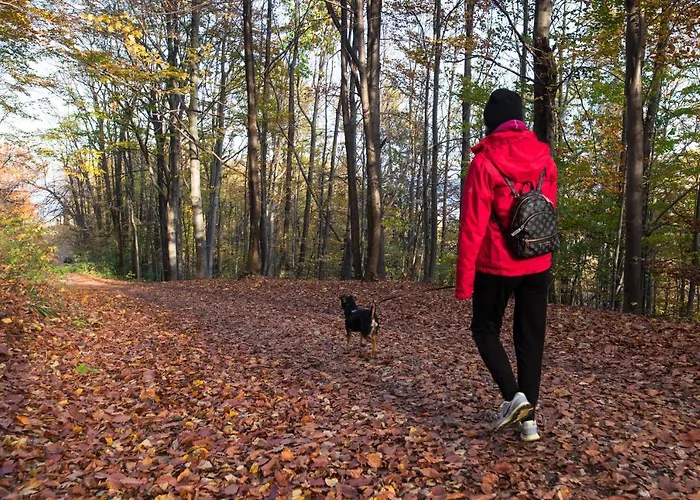 דירה Szyndzielnia *