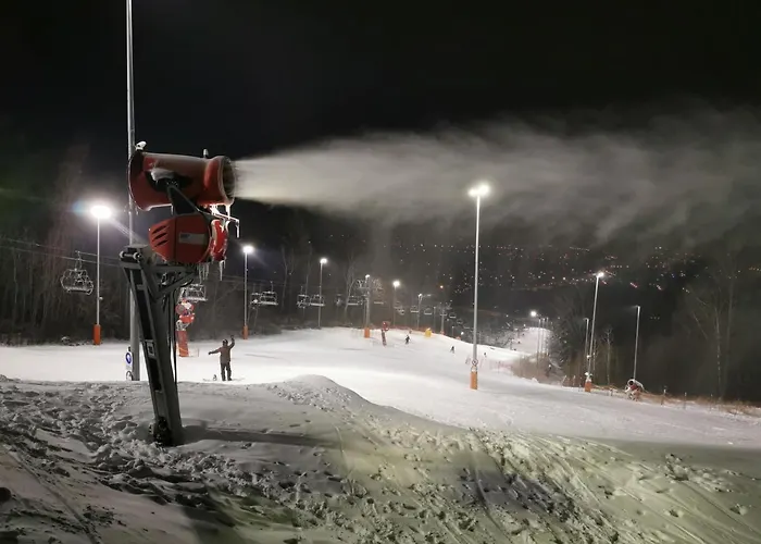 Szyndzielnia 아파트